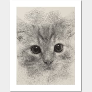 Cutie Cat ArtWork Posters and Art